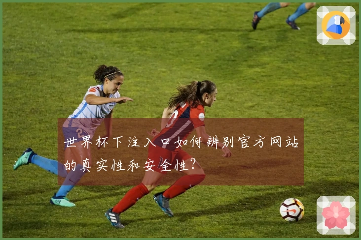 世界杯下注入口如何辨别官方网站的真实性和安全性？