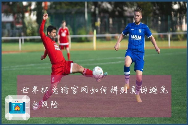 世界杯竞猜官网如何辨别真伪避免上当风险